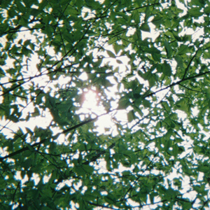 操真他妈的爽用力操逼好舒服
